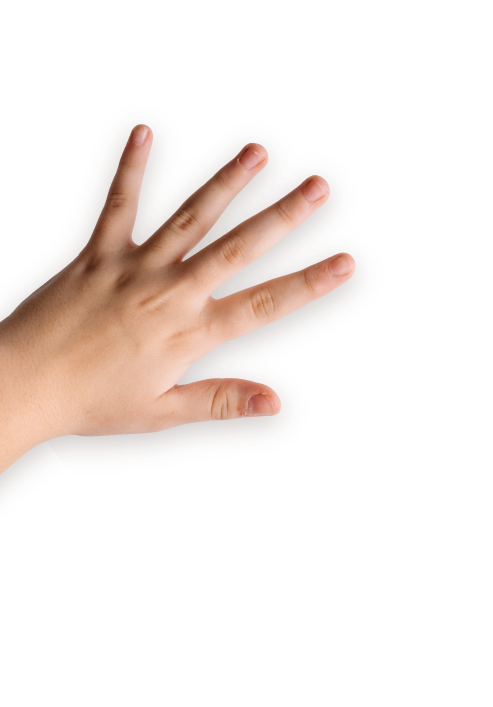 Moje mjesto pod suncem